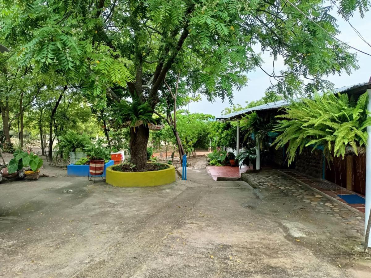 Hostal Sol De Verano Dona Lilia Villavieja Exterior photo